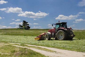 Obraz premium Summer day, red tractor mows the lawn for animal feed on the farm.