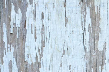 Grunge white wood, can be used for background.