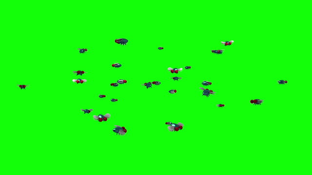 Swarm of Flies. 3D animation in cartoon style, loopable.