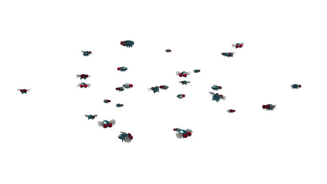 Swarm of Flies. 3D animation in cartoon style, loopable.