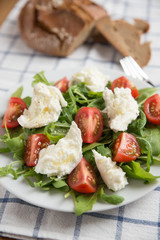 Salat mit Büffel Mozzarella 