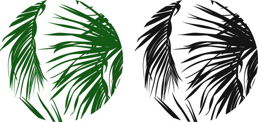Palm leaves in a circle silhouette