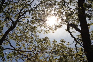 What A Beautiful Day