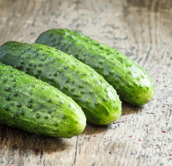 Fresh  cucumbers, selective focus