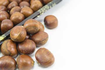 Chestnut with isolate background.