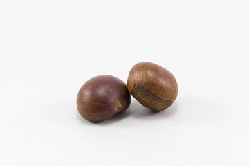 Chestnut.