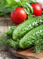 Cucumbers and tomatoes with spices and herbs, selective focus