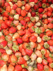 Strawberry in the market