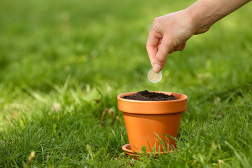 Female hand planting coin into flowerpot over green grass background