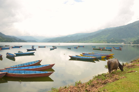 Phewa lake   Pokhra  