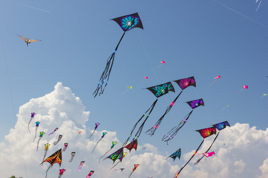 Kite Festival Images – Browse 18,524 Stock Photos, Vectors, and Video |  Adobe Stock