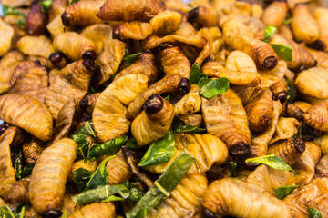 Pin-hole borers Fried