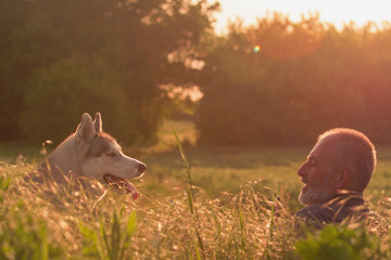 old man with his dog in a field at sunset. Close-up portrait. Siberian husky.