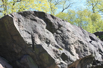 Stone Meets Nature