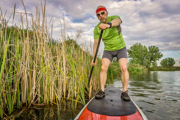stand up paddling through reed