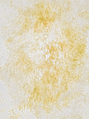 Designed grunge paper texture, background