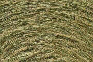 foin détail du pressage