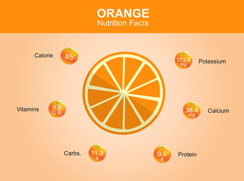 orange nutrition facts, orange fruit with information, orange vector