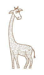 Beautiful adult Giraffe looking at us