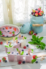 Fototapeta na wymiar Juicy ice cream with fruits