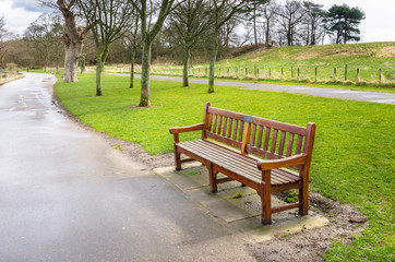 Wooden Bench on a Paved Path in a Park