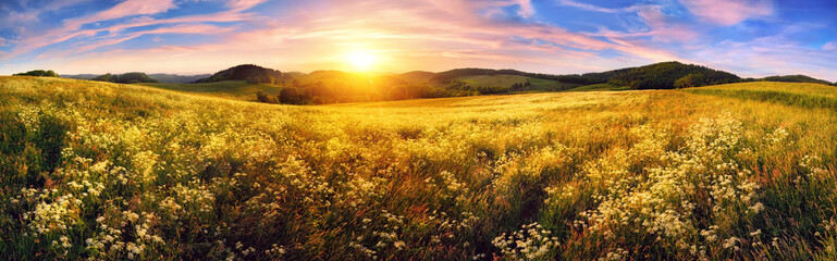 Panorama of a colorful sunset on beautiful meadow - obrazy, fototapety, plakaty