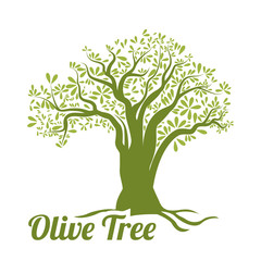 Obraz premium Olive oil design.