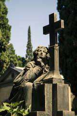 Rom Cemetery Verano - 84630086