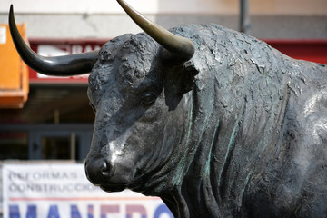 busto de un toro bravo