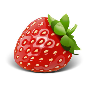 Strawberry vector