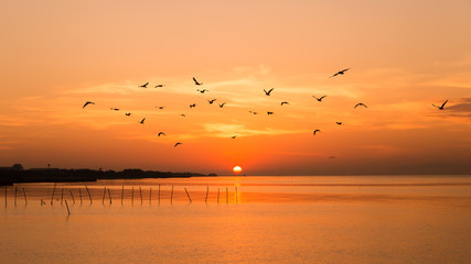 Obraz premium Seagulls fly in the air with sunrise and sea as a background