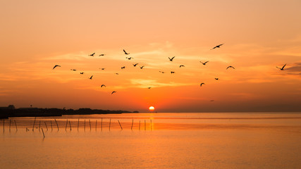 Seagulls fly in the air with sunrise and sea as a  background