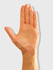 Obraz premium left female hand disclosed isolated low-poly polygonal