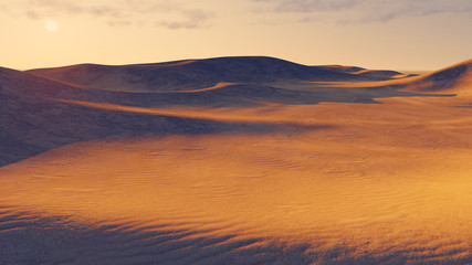 Fototapeta na wymiar Great sandy desert at dusk
