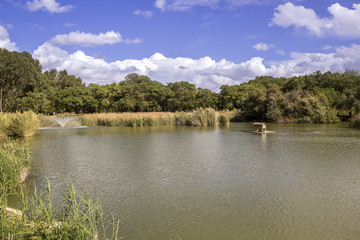 Fototapeta na wymiar Miraflores public Green Park panoramic, located in Seville