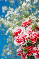 カーネーション