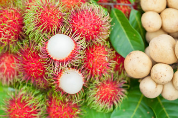 Rambutan