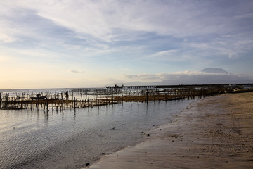 Plantations of seaweed at low tide,  Nusa Penida, Indonesia