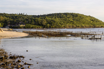 Plantations of seaweed at low tide,  Nusa Penida, Indonesia