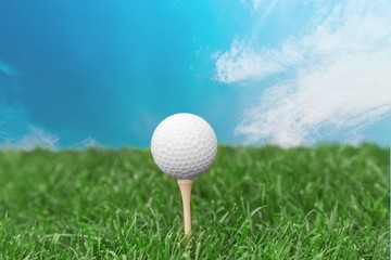Golf, Golf Ball, Golf Course.