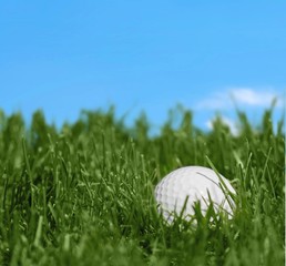 Golf, Ball, Rough.