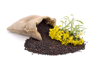 Rapeseed with flowers.