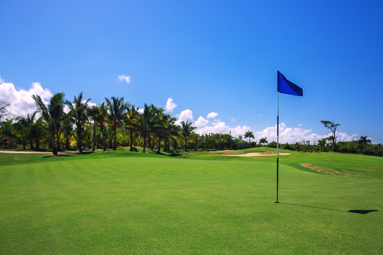 Golf course. Beautiful landscape of a golf court with palm trees