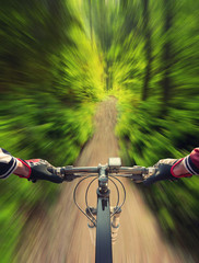 Naklejka premium Fast ride in summer forest. Sport and active life concept