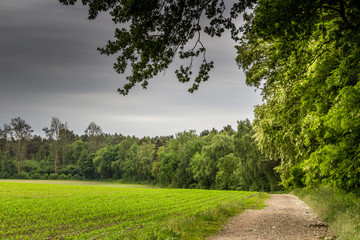 Fototapeta premium Landschaft vor Sommergewitter