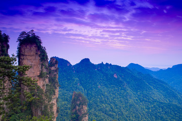 Dawn at Mountain landscape of Zhangjiajie national park,China