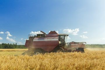 Naklejka premium Combine machine with reel and the cutter bar working in farm field