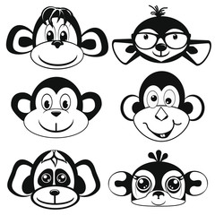 funny differently monkey. face of monkeys.