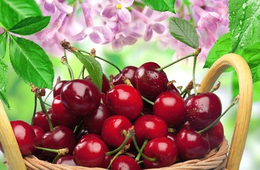 Cherry, Basket, Fruit.