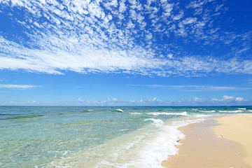 南国の美しいビーチと紺碧の空